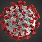Recubrimiento antibacterial de superficies mata el coronavirus por 90 días, dice estudio en EEUU