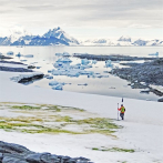 El cambio climático tornará en verde la Antártida costera
