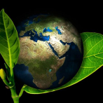 Presentan “La Era Plasteozoica: una eco-distopía animada” este viernes por el Día Mundial del Medio Ambiente