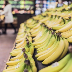 Bananas, plátanos, cacao y otros presentaron una caída en las exportaciones por la pandemia