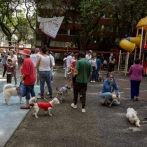 Ciudad de México descarta víctimas y daños en hospitales por terremoto