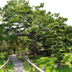 Más que un espacio verde: el Jardín Botánico Nacional cumple 44 años