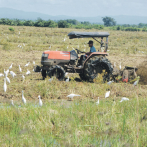 Agrodosa entrega RD$ 124.7 millones a 361 productores afectados por eventos climáticos