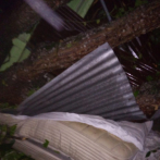 Muere joven tras caer árbol en su casa producto de vientos provocados por Laura