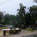 Fallece niña en Haití tras caída de árbol en vivienda por tormenta Laura