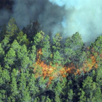 Instalarán cuarteles en áreas protegidas para prevenir incendios forestales