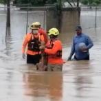 Miembros de la Defensa Civil rescatan perra de morir ahogada por inundaciones