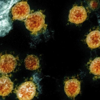 Unos 609 casos nuevos de coronavirus y 12 fallecidos en 24 horas