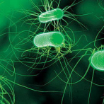 Bacterias sobreviven en el espacio exterior durante años