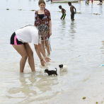 Visitante de playa Boca Chica: “El coronavirus ta’ 'rulay' aquí”