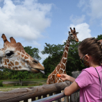 Zoológico de Miami ofrece visita privada a niña con cáncer que pidió un deseo