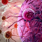 La falta de oxígeno en los tumores promueve la metástasis, según estudio