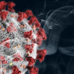 La forma molecular de los virus de COVID-19, SARS y MERS revela similitudes que sugieren posibles tratamientos