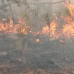 Incendio que afecta Loma la Hoz en Polo consume miles de pino desde la noche del viernes