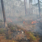 Autoridades tratan de mitigar incendio en la Sierra de Bahoruco