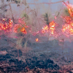 Extinguen fuego forestal en loma La Hoz, en Barahona