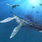 Hallan en Chile fósiles de un gran depredador marino del Jurásico