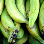 Agricultura dice alza en los precios del plátano se debe a factores ambientales