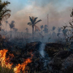 Brasil suspende los operativos contra los incendios forestales por la falta de recursos