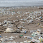 Casi 230,000 toneladas de plástico se vierten cada año en el Mediterráneo
