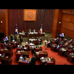 #ENVIVO: Senado conoce otros 45 días de estado de emergencia