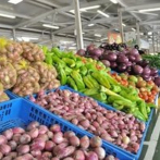 Comerciantes valoran medidas de Agricultura para reducir costo de alimentos