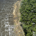La Amazonia perdió 8% de su territorio en 18 años por deforestación