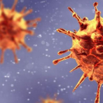 La OMS confirma que la cepa de coronavirus encontrada en Sudáfrica es diferente a la de Reino Unido