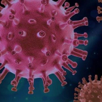 La nueva cepa del coronavirus estaba presente en Alemania desde noviembre