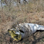 Cuatro miembros de una familia mueren al estrellarse su avioneta en Brasil
