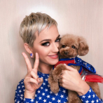 Katy Perry quiere que su mascota sea vegana y 