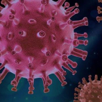 China dice que el coronavirus se encontró en muchas partes en otoño de 2019