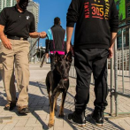 El Miami Heat utilizará perros para detectar a los enfermos de la covid-19