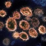 Variante sudafricana del coronavirus llega a EE.UU.
