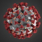 Tres variantes del coronavirus halladas en 14 países de las Américas