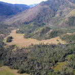 Medio Ambiente establece límites en montañas, sierras y cordilleras para impedir ganadería