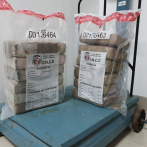 DNCD ocupa 12 paquetes de droga en un contenedor que sería enviado a Holanda