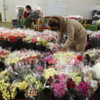 Las flores colombianas viajan por un mundo en pandemia para San Valentín