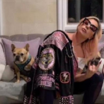 Lady Gaga recupera sus perros sanos y salvos