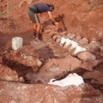 El titanosaurio más antiguo, hallado en la Patagonia Argentina