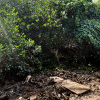 Destruyen manglares del río Yeguada, en Miches