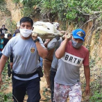 La Amazonía peruana vuelve mancharse de sangre con otra indígena asesinada