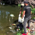Coalición Cambiemos realiza jornada de limpieza en río Ozama