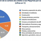 Créditos del sector financiero a las mipymes alcanzaron RD$352 mil millones