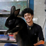 Un estudiante mexicano cría los conejos más grandes del mundo en Puebla