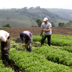 Plan beneficiará a agricultores de Bolivia, Guatemala, Haití, Honduras y Perú