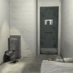 Nueva York restringe el confinamiento carcelario en solitario a 15 días