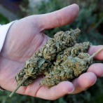 Virginia, primer estado del sur de EEUU en legalizar la marihuana