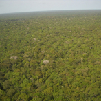 La Amazonía perdió 2,3 millones de hectáreas en 2020