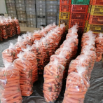 Realizan primera exportación de zanahoria dominicana a Puerto Rico